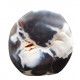 Orca Agate Free Form