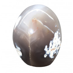 Orca Agate Free Form