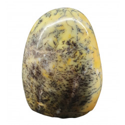 Dendritic Opal Free Form
