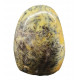 Dendritic Opal Free Form