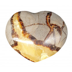 coeur septaria