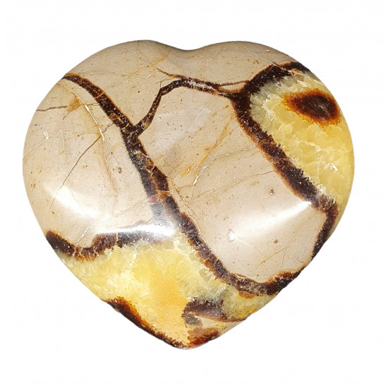 Septarian heart
