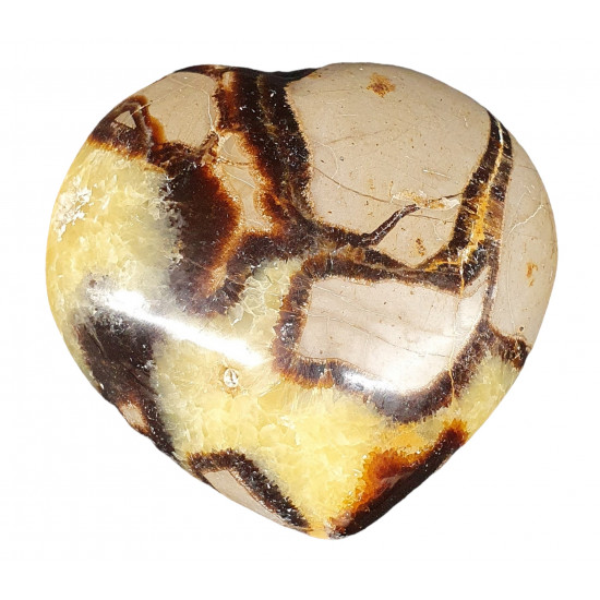 Septarian heart