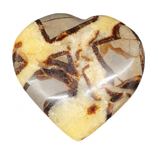 Septarian heart