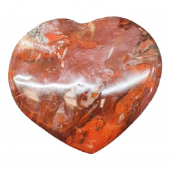 Petrified wood Heart