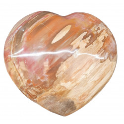 Petrified wood Heart