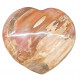 Petrified wood Heart