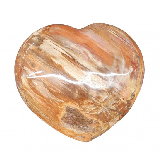 Petrified wood Heart