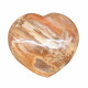 Petrified wood Heart