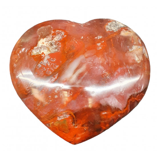 Petrified wood Heart