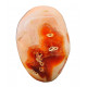 Carnelian Free Form