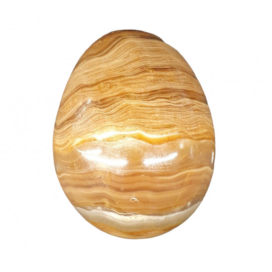 aragonite egg