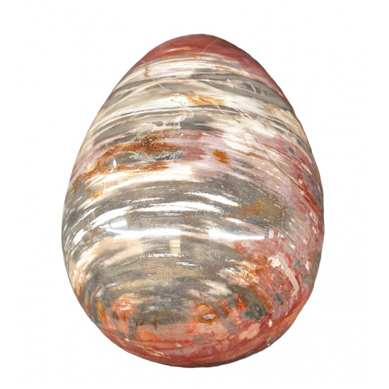 Petrified wood egg