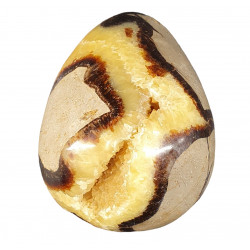 Yellow Septarian egg