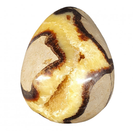 Yellow Septarian egg