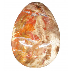 Petrified wood egg