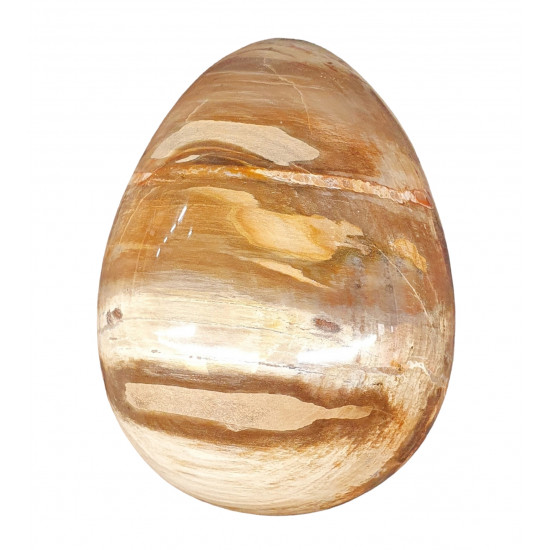 Petrified wood egg
