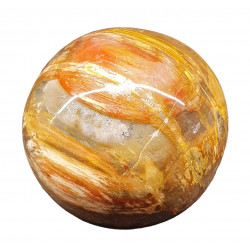 Petrified Wood Sphere