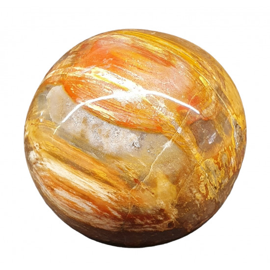Petrified Wood Sphere