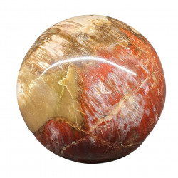 Petrified Wood Sphere
