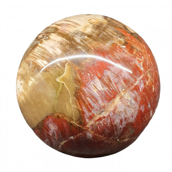 Petrified Wood Sphere