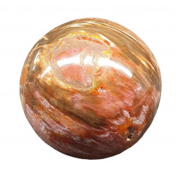 Petrified Wood Sphere