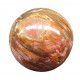 Petrified Wood Sphere