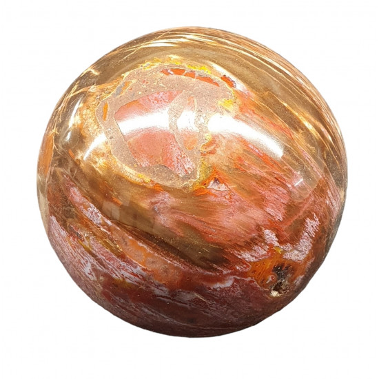 Petrified Wood Sphere