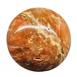 Petrified Wood Sphere