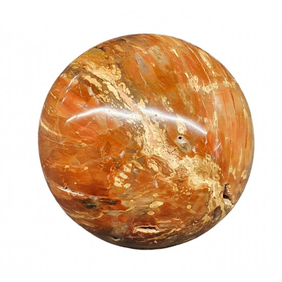 Petrified Wood Sphere