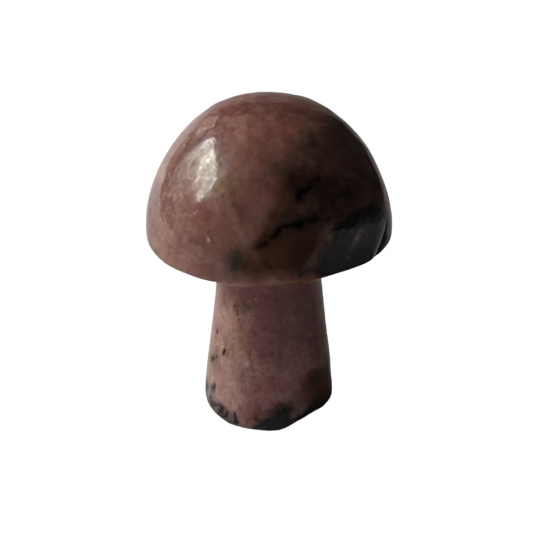 mushroom rhodonite