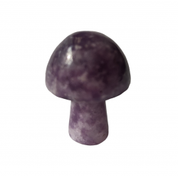 champignon lepidolite