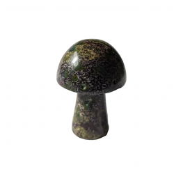 champignon jaspe sang de dragon