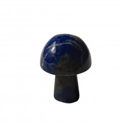 champignon lapis lazuli