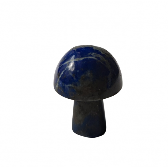 mushroom lapis lazuli