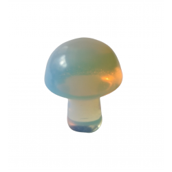 champignon opalite