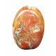 Petrified Wood Free Form