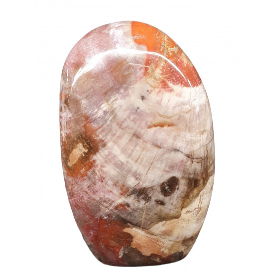 Petrified Wood Free Form
