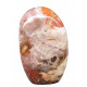 Petrified Wood Free Form