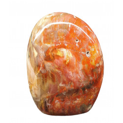 Petrified Wood Free Form