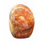 Petrified Wood Free Form