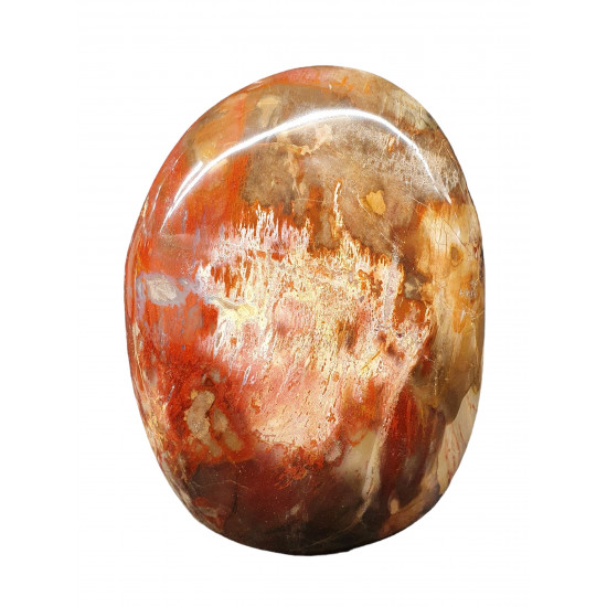 Petrified Wood Free Form