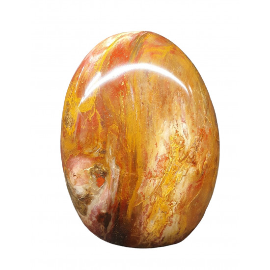 Petrified Wood Free Form