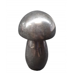 Champignon basalte