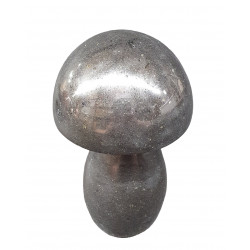 Champignon basalte