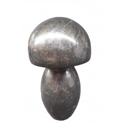 Champignon basalte