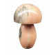 mushroom marble