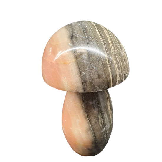 mushroom marble