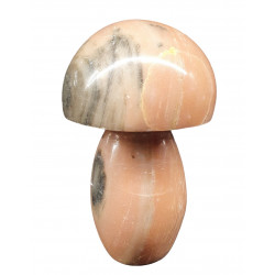 Champignon marbre