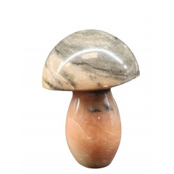 Champignon marbre